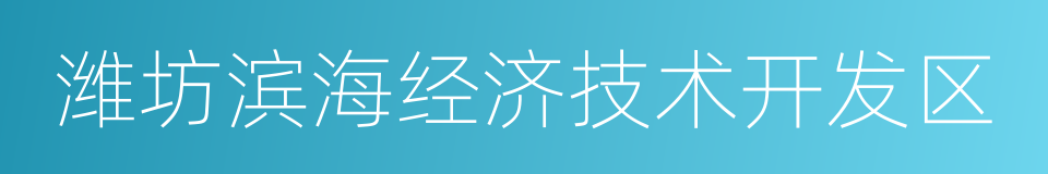 潍坊滨海经济技术开发区的同义词