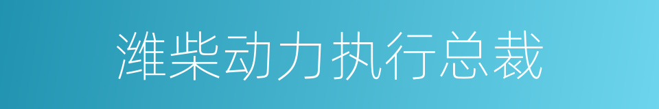 潍柴动力执行总裁的同义词