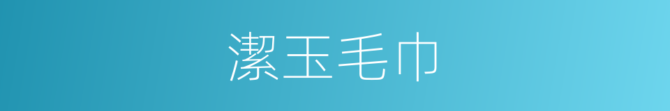 潔玉毛巾的同義詞