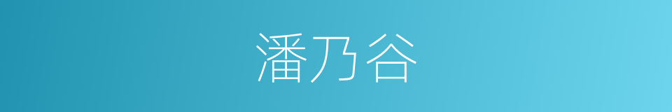 潘乃谷的同义词