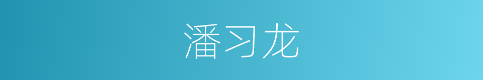 潘习龙的同义词