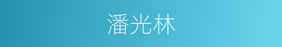 潘光林的同义词