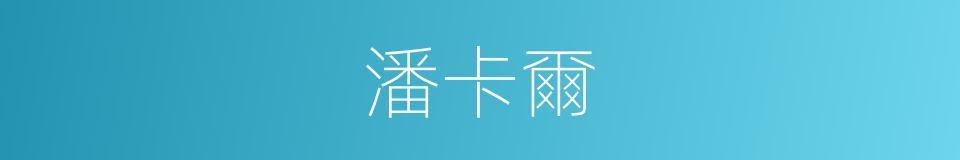 潘卡爾的同義詞