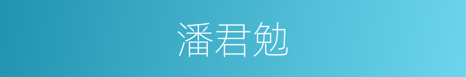 潘君勉的同义词