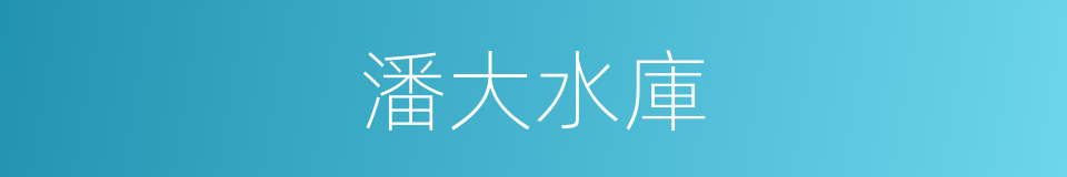 潘大水庫的同義詞