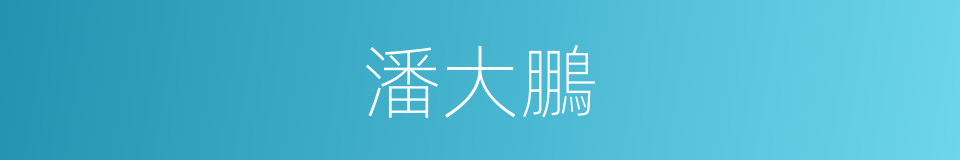 潘大鵬的同義詞