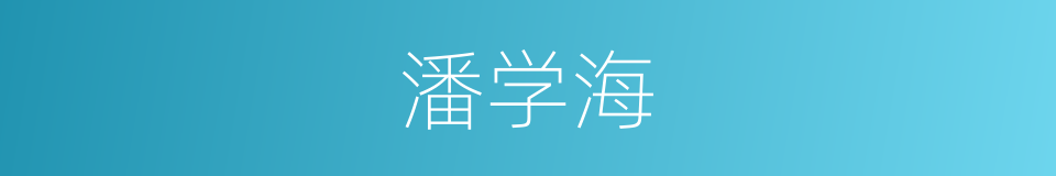 潘学海的同义词