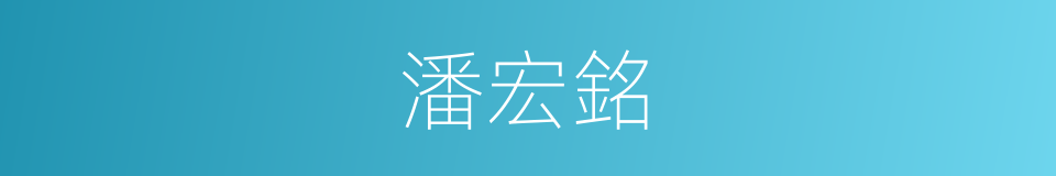 潘宏銘的同義詞