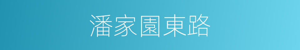 潘家園東路的同義詞