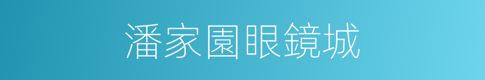 潘家園眼鏡城的同義詞