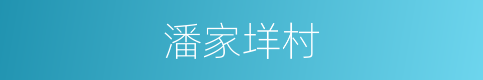 潘家垟村的同义词