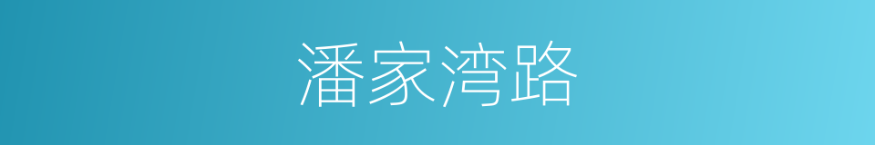 潘家湾路的同义词