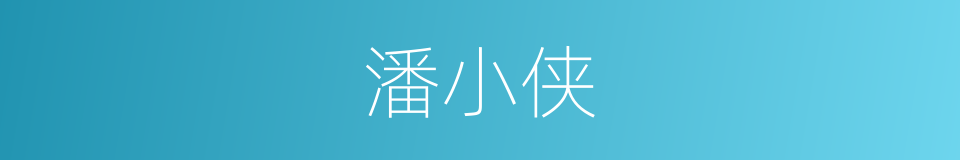 潘小侠的同义词