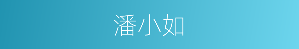 潘小如的同义词