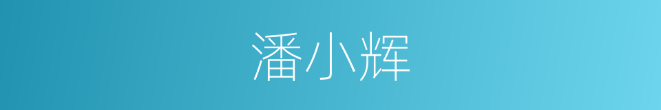 潘小辉的同义词