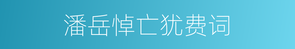 潘岳悼亡犹费词的同义词