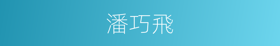 潘巧飛的同義詞