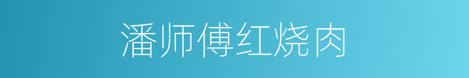 潘师傅红烧肉的同义词