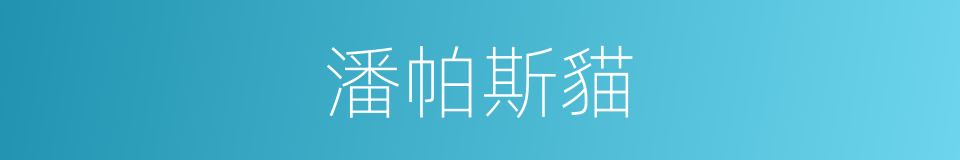 潘帕斯貓的同義詞
