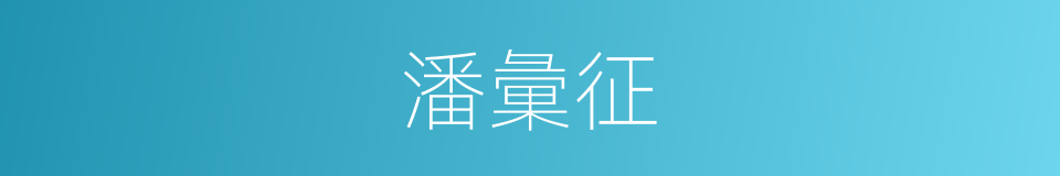 潘彙征的同義詞