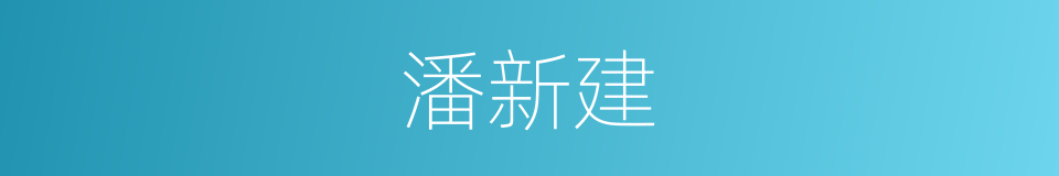 潘新建的同义词