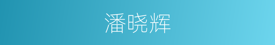 潘晓辉的同义词
