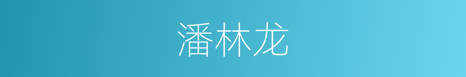 潘林龙的同义词