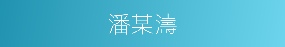 潘某濤的同義詞