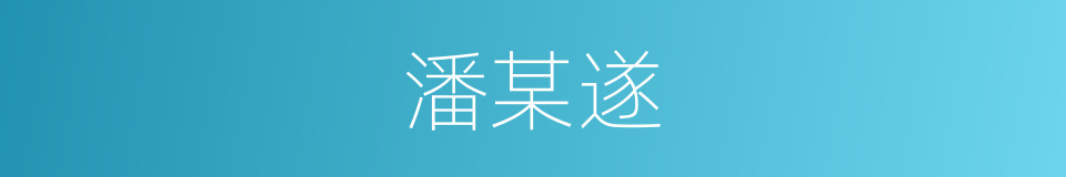 潘某遂的同义词