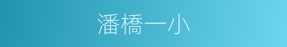 潘橋一小的同義詞