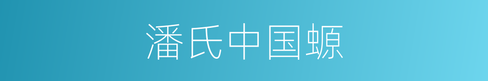 潘氏中国螈的同义词