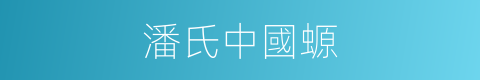 潘氏中國螈的同義詞