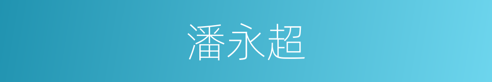 潘永超的同义词