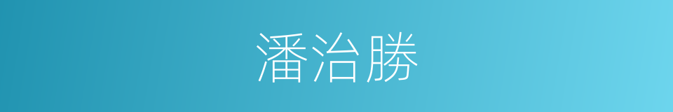 潘治勝的同義詞