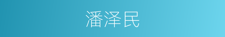 潘泽民的同义词