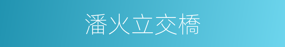 潘火立交橋的同義詞