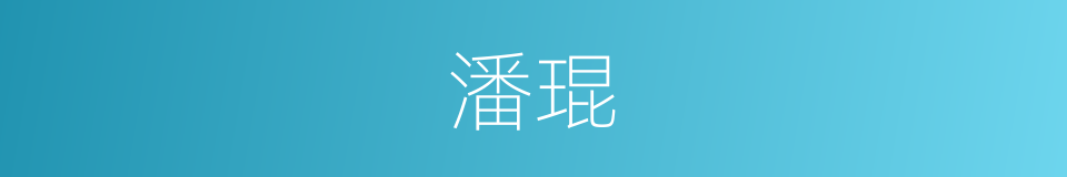 潘琨的同义词