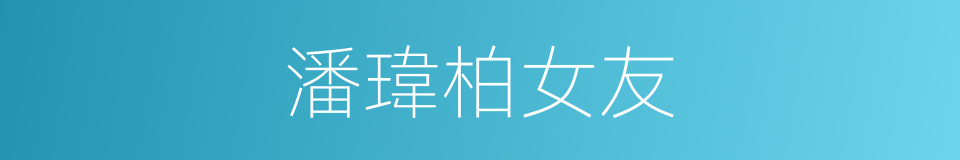 潘瑋柏女友的同義詞