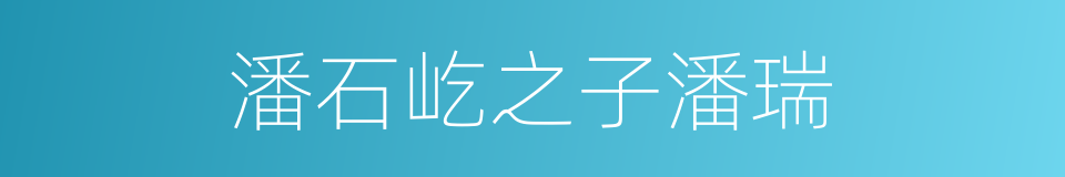 潘石屹之子潘瑞的同义词