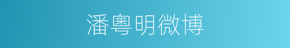 潘粵明微博的同義詞