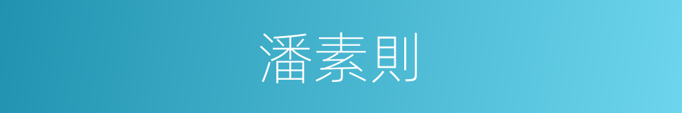 潘素則的同義詞