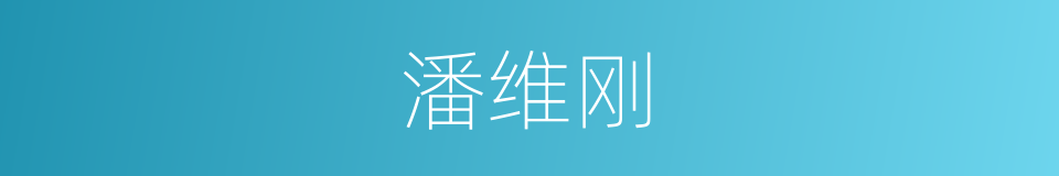 潘维刚的同义词