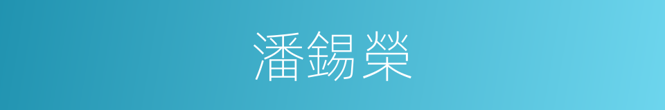潘錫榮的同義詞