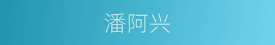 潘阿兴的同义词