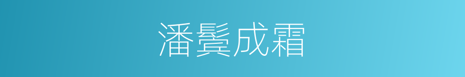 潘鬓成霜的意思
