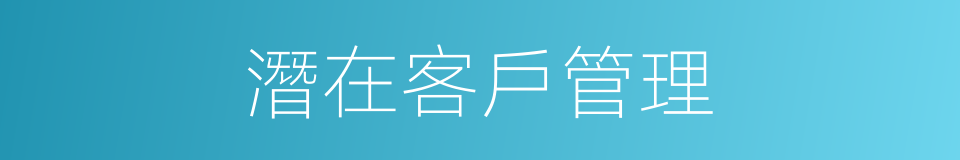 潛在客戶管理的同義詞
