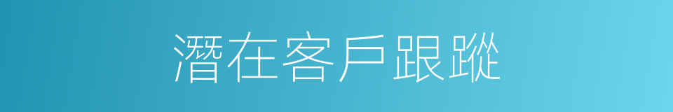 潛在客戶跟蹤的同義詞