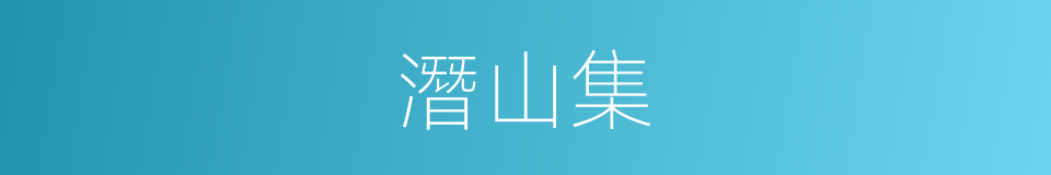 潛山集的同義詞