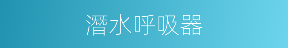 潛水呼吸器的同義詞