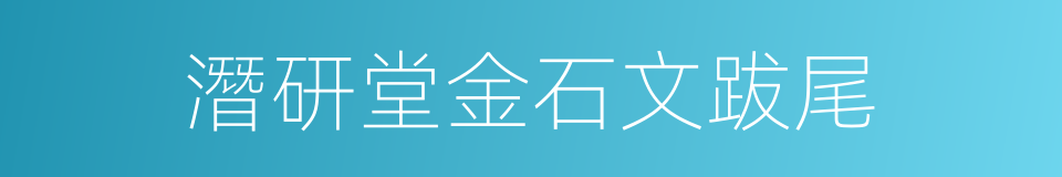 潛研堂金石文跋尾的同義詞
